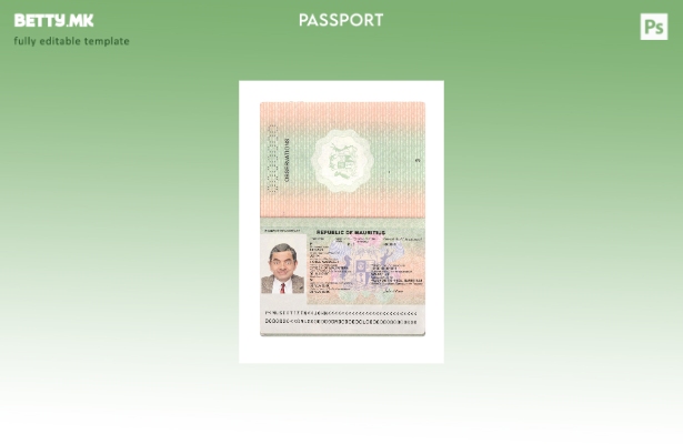 Модерен стил Маврициус пасош сегашен шаблон